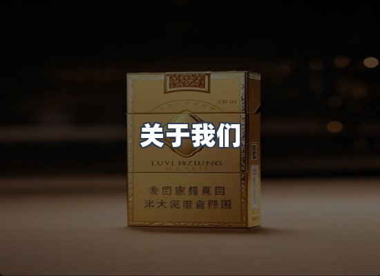 专业团队
